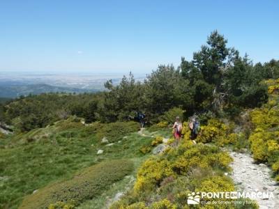 Ruta senderismo Peñalara - Parque Natural de Peñalara; senderismo alcobendas